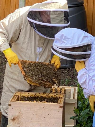 Beekeeping