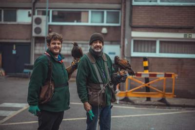 Bird Control Team